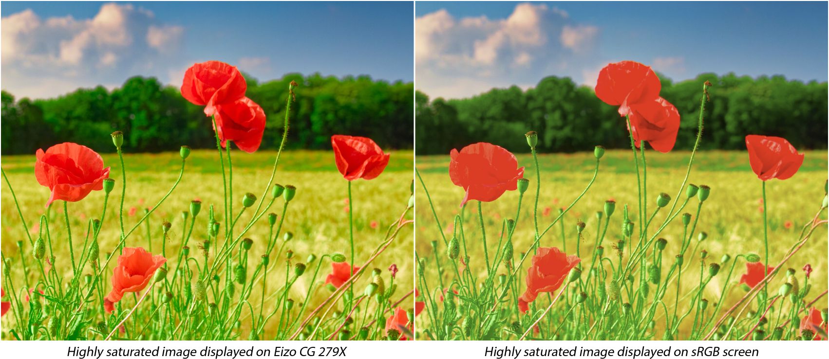 DxO's new ultra-wide color space is unique - DxO