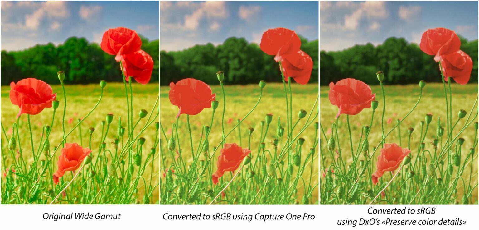 DxO Wide Gamut: Eine Revolution der Farbe - DxO